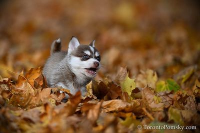 Nov14_22_235.jpg
