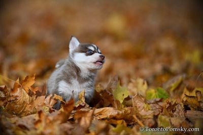 Nov14_22_236.jpg