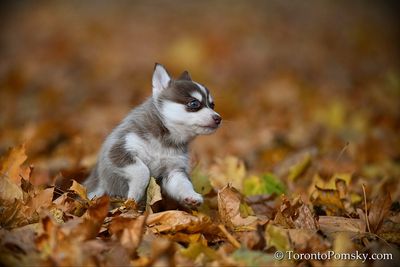 Nov14_22_238.jpg