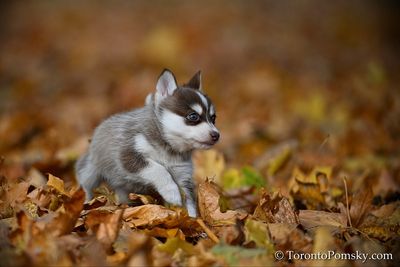 Nov14_22_239.jpg