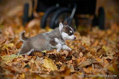 Nov14_22_244.jpg