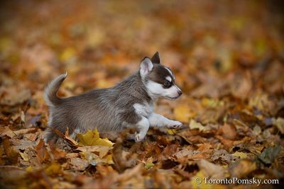 Nov14_22_246.jpg