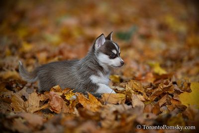 Nov14_22_252.jpg