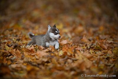 Nov14_22_253.jpg