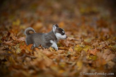 Nov14_22_257.jpg