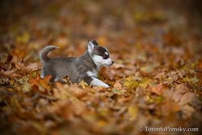 Nov14_22_258.jpg