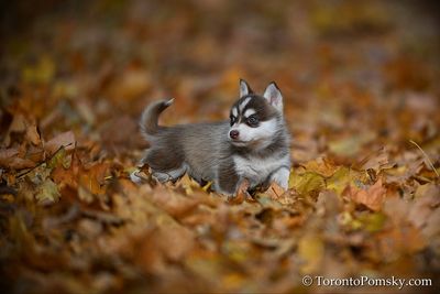 Nov14_22_259.jpg