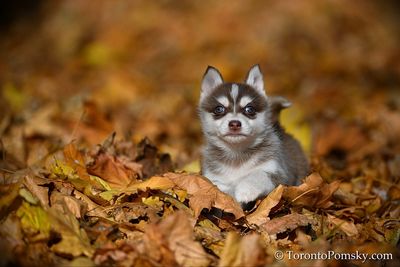 Nov14_22_262.jpg