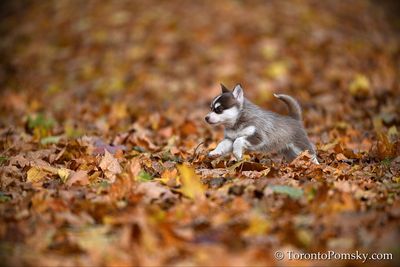 Nov14_22_270.jpg