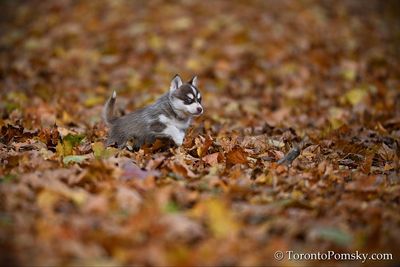 Nov14_22_277.jpg