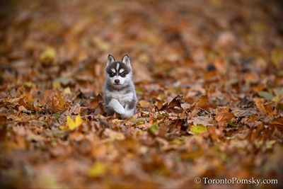 Nov14_22_285.jpg