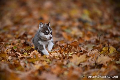 Nov14_22_290.jpg