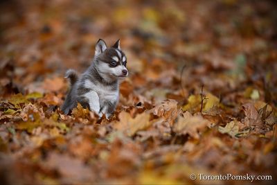 Nov14_22_291.jpg