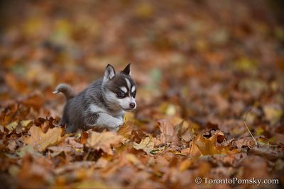 Nov14_22_293.jpg