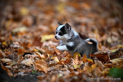Nov14_22_165.jpg