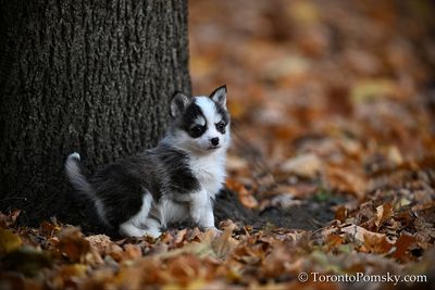 Nov14_22_167.jpg