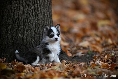 Nov14_22_168.jpg
