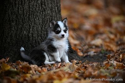 Nov14_22_169.jpg