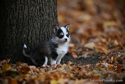Nov14_22_170.jpg