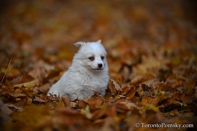 Nov14_22_172.jpg