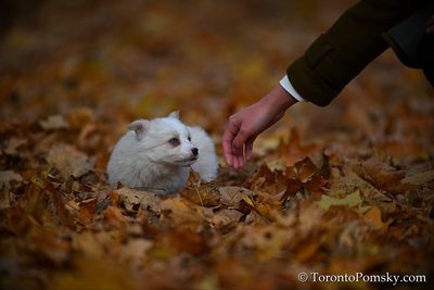 Nov14_22_175.jpg