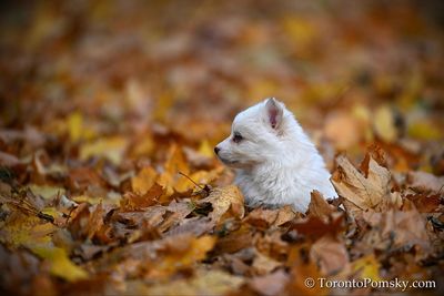 Nov14_22_186.jpg