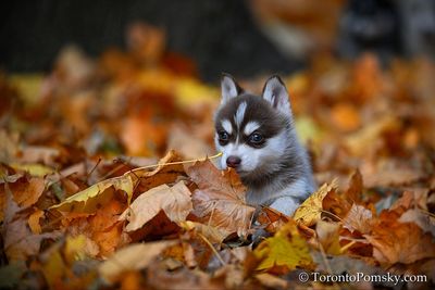 Nov14_22_188.jpg