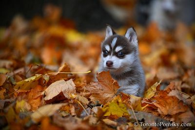 Nov14_22_189.jpg