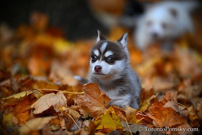 Nov14_22_190.jpg