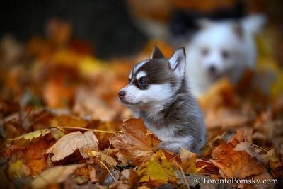 Nov14_22_191.jpg