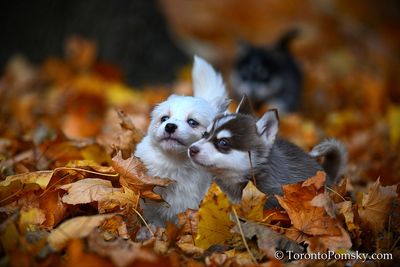 Nov14_22_193.jpg
