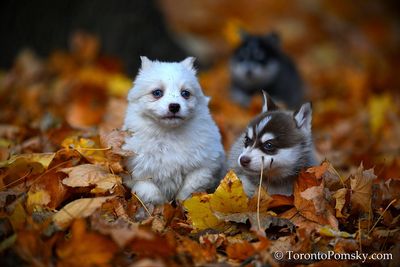 Nov14_22_195.jpg