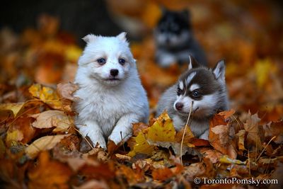 Nov14_22_196.jpg