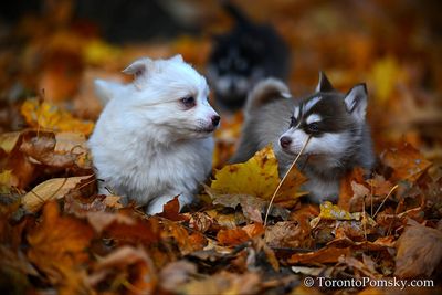 Nov14_22_197.jpg