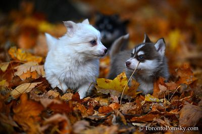 Nov14_22_198.jpg