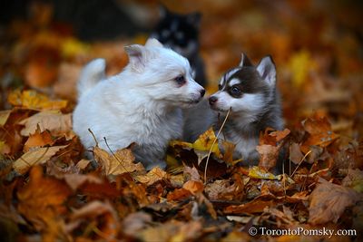 Nov14_22_200.jpg