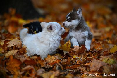 Nov14_22_201.jpg