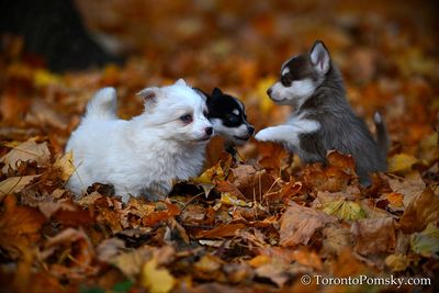 Nov14_22_202.jpg