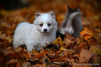 Nov14_22_203.jpg