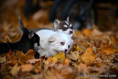 Nov14_22_204.jpg
