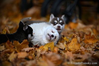 Nov14_22_205.jpg
