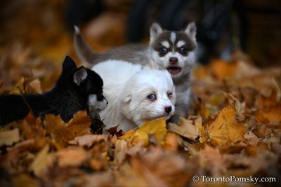 Nov14_22_206.jpg