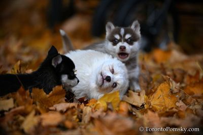 Nov14_22_207.jpg