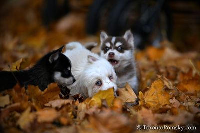 Nov14_22_208.jpg