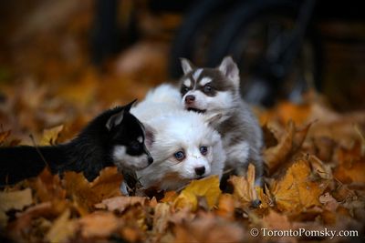 Nov14_22_210.jpg