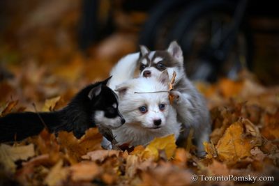 Nov14_22_211.jpg