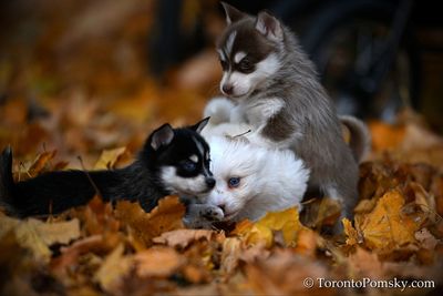Nov14_22_212.jpg