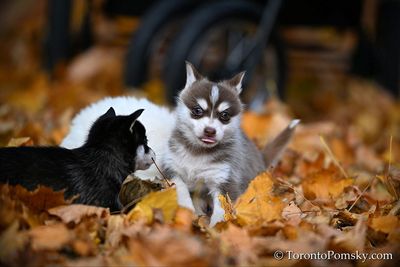 Nov14_22_213.jpg