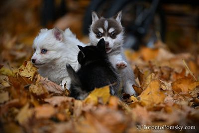 Nov14_22_214.jpg