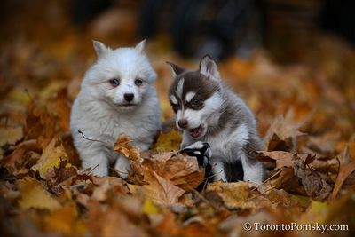Nov14_22_215.jpg